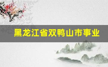 黑龙江省双鸭山市事业编_双鸭山市2023年公开招聘工作人员公告