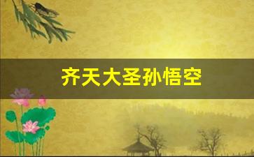 齐天大圣孙悟空